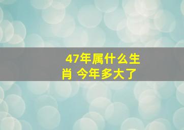 47年属什么生肖 今年多大了